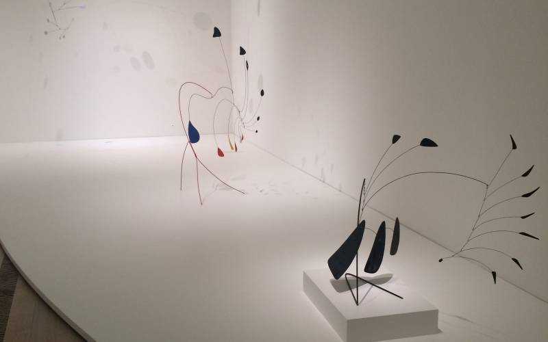 Selezione2_Calder
